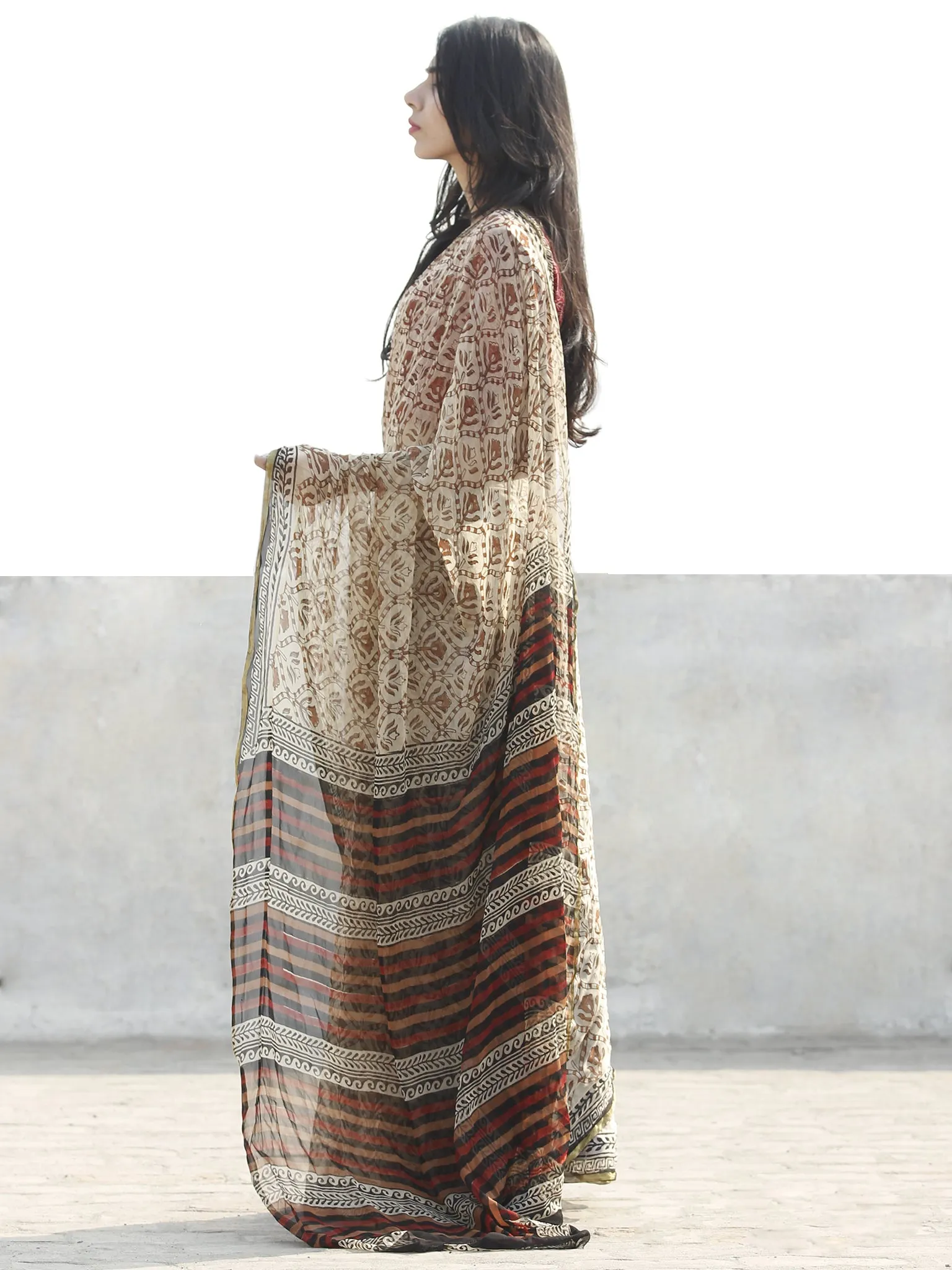 Beige Rust Hand Block Printed Chiffon Saree with zari border- S031702664