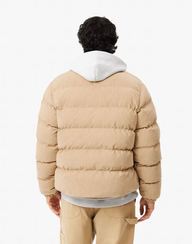 Lacoste Quilted Corduroy Puffed Jacket