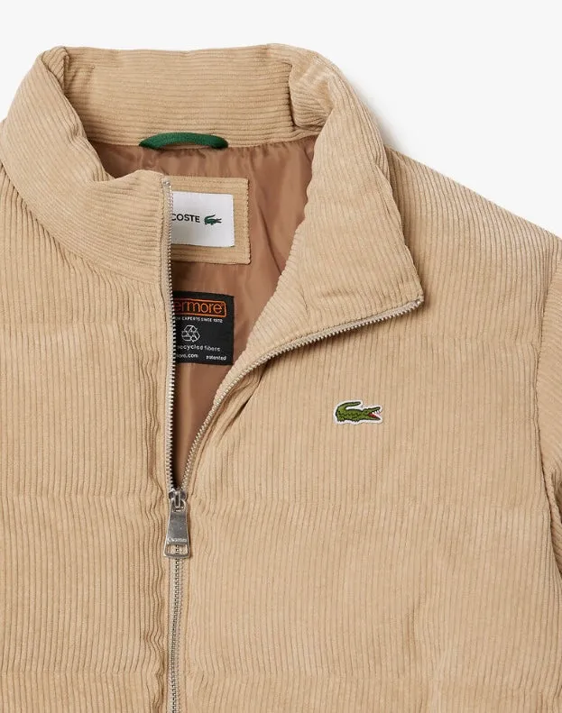 Lacoste Quilted Corduroy Puffed Jacket