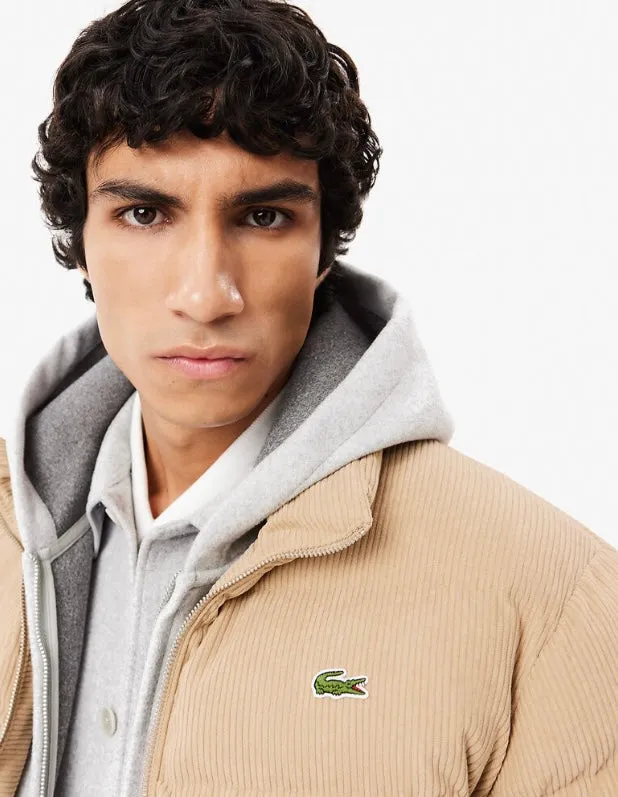 Lacoste Quilted Corduroy Puffed Jacket