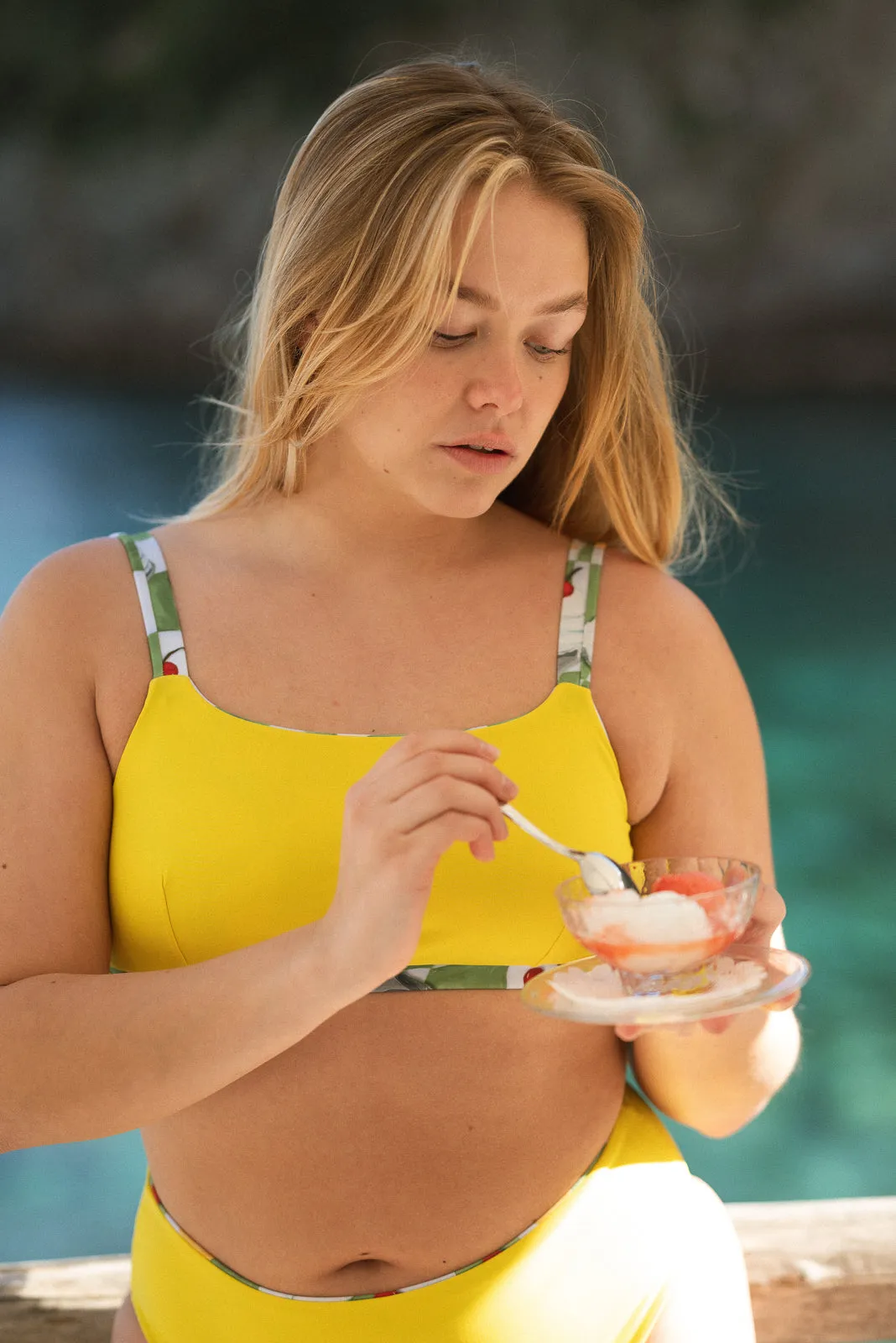 Picnic Crop Top | reversible